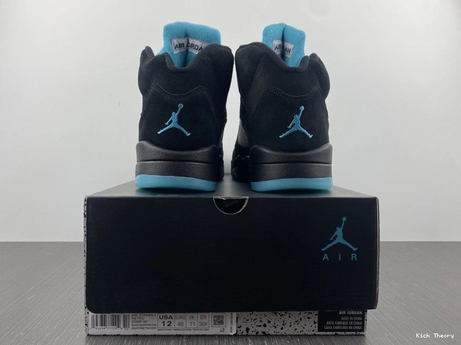 Kick Theory Aqua Air 5 Jordan DD0587-047 0816